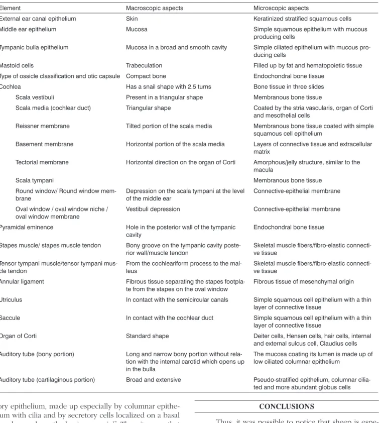 Table 1. Description of the macroscopic and microscopic aspects of the temporal bone of Corriedale sheep (n=8)