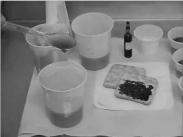 Figure 1b. Pasty consistency preparation using a food thickener.