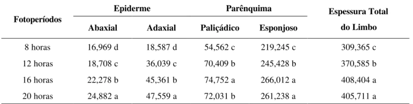 TABELA 1 – Influência do fotoperíodo na espessura ( µ m) das estruturas anatômicas de folhas de guaco (médias  de sessenta  repetições)