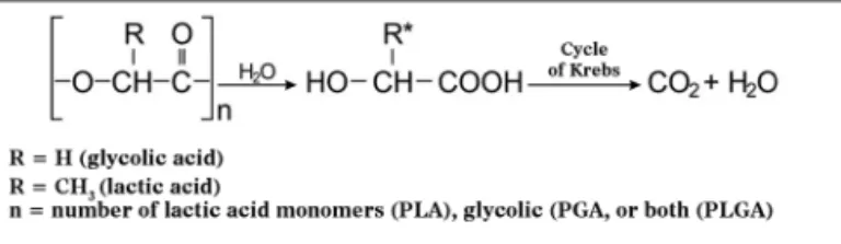 Figure 1. Hydrolysis mechanism of PLA, PGA or PLGA (adapted from  Merkli et al. 13 ).