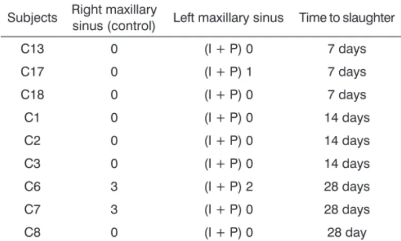 Table 3.  Inlammation  pattern  in  controls  and  sinuses  with  biodegradable implants.