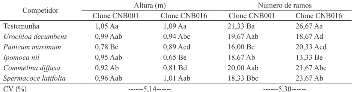 TABELA 1: Altura de plantas e número de ramos de dois clones de híbridos de Eucalyptus urophylla x  Eucalyptus grandis submetidos à competição com plantas daninhas por 60 dias.