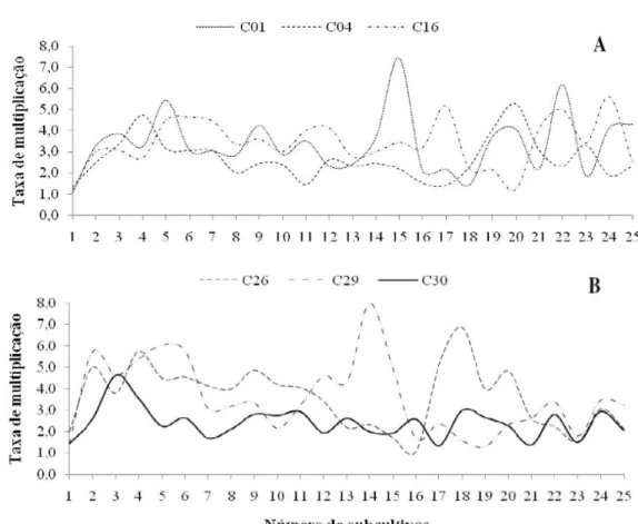 FIGURE 1: Multiplication rate of Eucalyptus urophylla x  Eucalyptus globulus (C01, C04 and C16)  and  Eucalyptus grandis x  Eucalyptus globulus (C26, C29 and C30) clones, during the in  vitro  multiplication stage in MS culture medium supplemented with 0,5