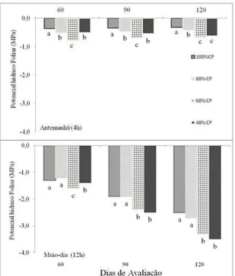 FIGURE 1: Leaf water potential (MPa) in young  plants of Jatropha curcas subjected to  water deficit to 4 hours (before dawn)  and 12h (noon) at 60, 90 and 120 days  of water evaluation