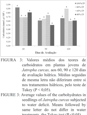 FIGURE 2: Average values of the amino acid  contents in seedlings of Jatropha  curcas at 60, 90 and 120 days of water  assessment
