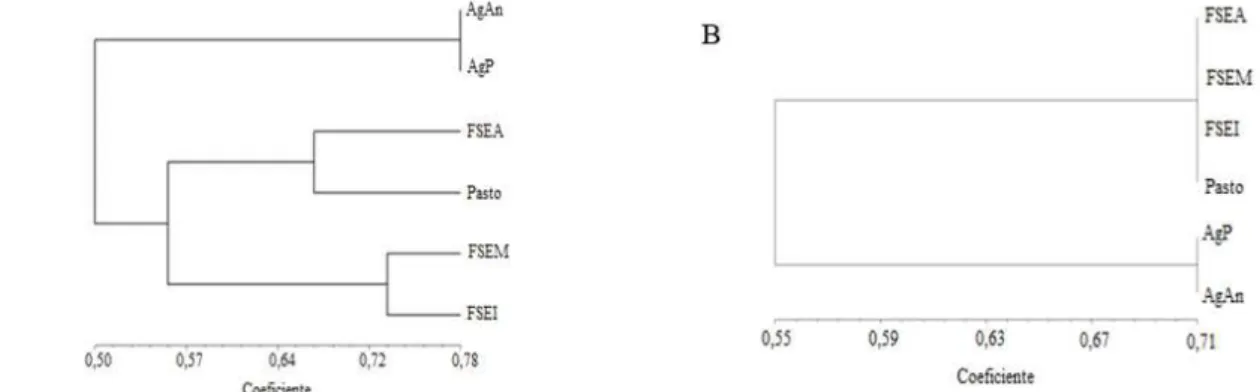 FIGURA 1: Dendrograma da ocorrência de espécies de FMAs em áreas de agricultura anual (AgAn) e  perene (AgP), pastagem e floresta secundária em três estádios sucessionais (floresta secundária  estádio  avançado  –  FSEA;  floresta  secundária  estádio  méd