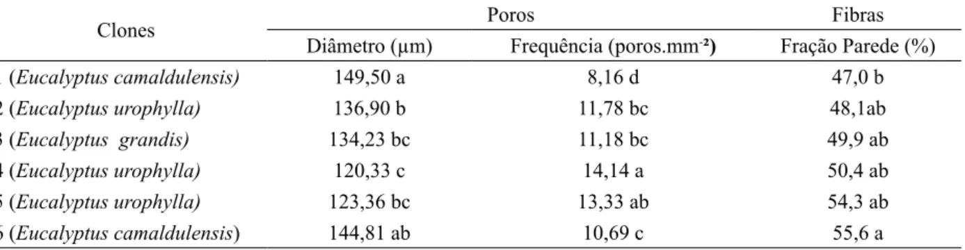 TABLE 1:    Mean values   of wood morphological analysis of pores and fibers from Eucalyptus clones
