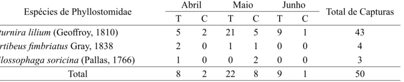 TABLE 1:   Number of captures of fruit-eating bats in the Morro do Coco, Viamão, RS state, Brazil, during  autumn (fall) 2012