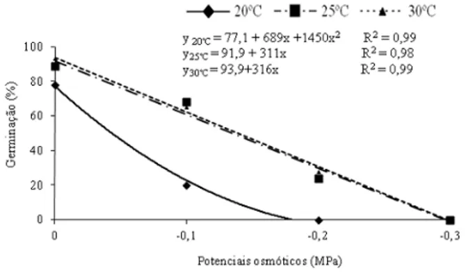 FIGURA 1: Germinação de sementes de Chorisia 