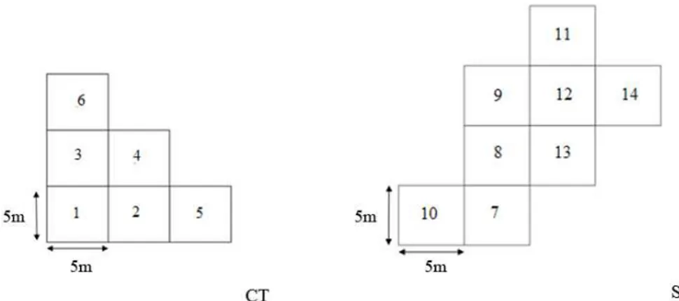 FIGURA 1:  FIGURE 1: 