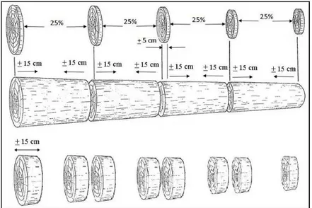 FIGURA 1:   Procedimento de corte da madeira para retirada dos discos pequenos e grandes