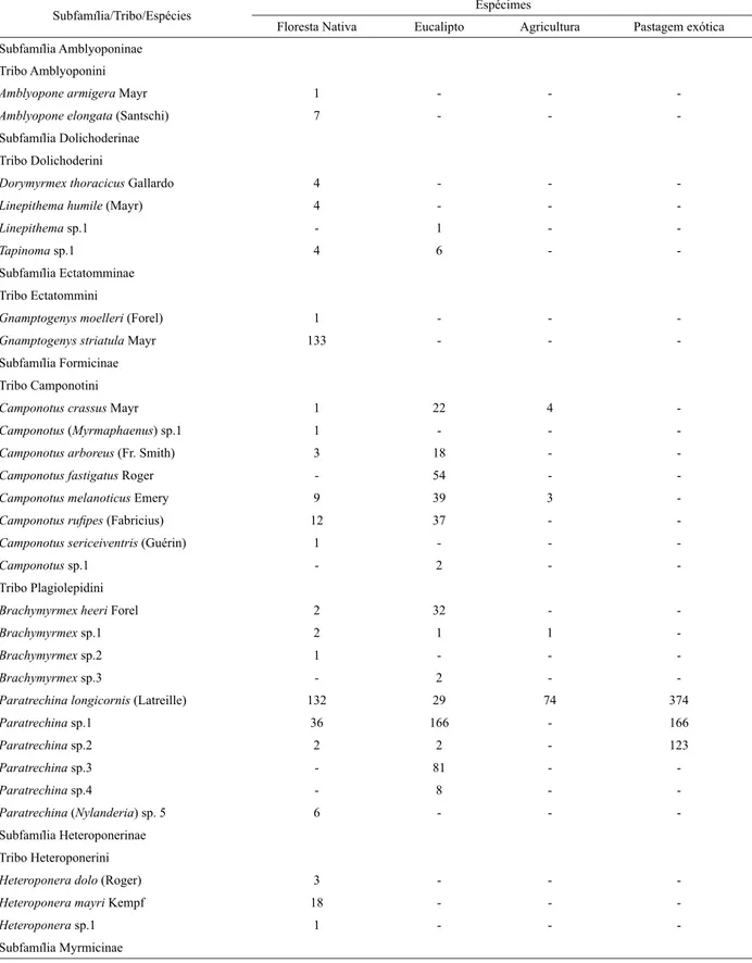 TABELA 1:  Registros das espécies de formigas coletadas em áreas de floresta nativa, eucalipto, agricultura  e pastagem exótica