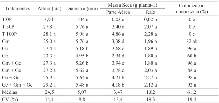 TABELA  1: Altura,  diâmetro  do  caule,  massas  secas  de  parte  aérea  e  raiz  e  porcentagem  da        colonização micorrízica em mudas de Toona ciliata, aos 140 dias após a germinação