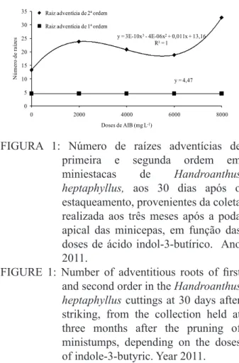FIGURE  1:  Number  of  adventitious  roots  of  first  and second order in the Handroanthus 