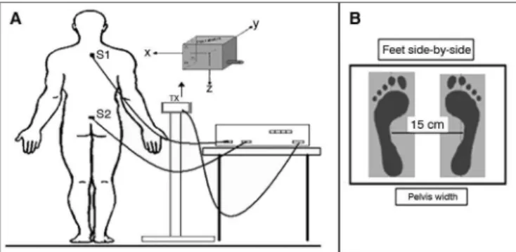 Table 1 shows the parameters of oscillation of  young and elderly subjects in the open eye (OE) and 