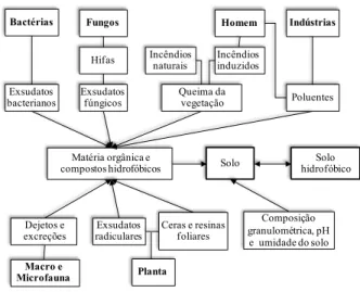 FIGURA 1:    Principais agentes (negrito), processos e  substâncias relacionadas com a origem  e ocorrência de hidrofobicidade no  solo.