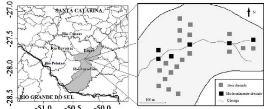 FIGURA 1:  Localização da área de estudo e distribuição das parcelas no fragmento de Floresta                         com Araucária no município de Lages, SC.