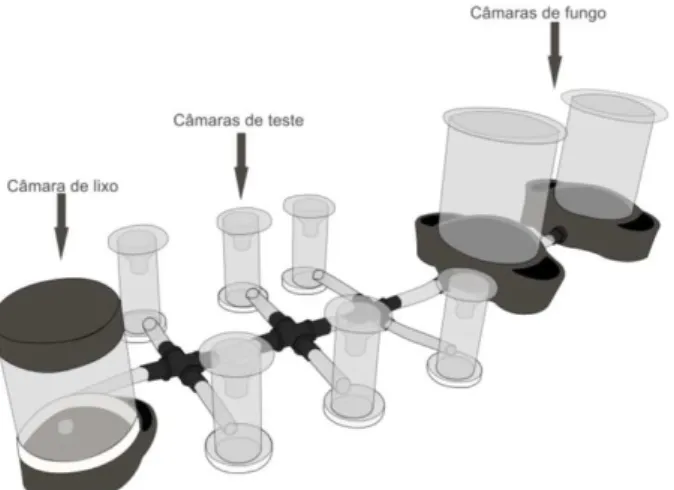 FIGURA 1: Representação do ninho artificial utilizado no experimento. FIGURE 1: Representation of the artificial nest utilized in the experiment.