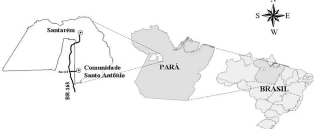 FIGURA 1:  Comunidade Santo Antônio, Assentamento Moju I e II, BR 163, Santarém, Pará