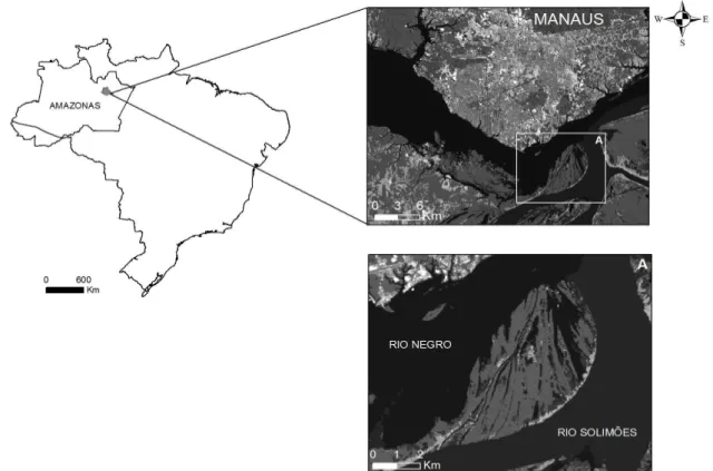FIGURA 1:  Mapa da área de estudo indicando a região do Catalão (A) na confluência dos Rios Solimões  e Negro.