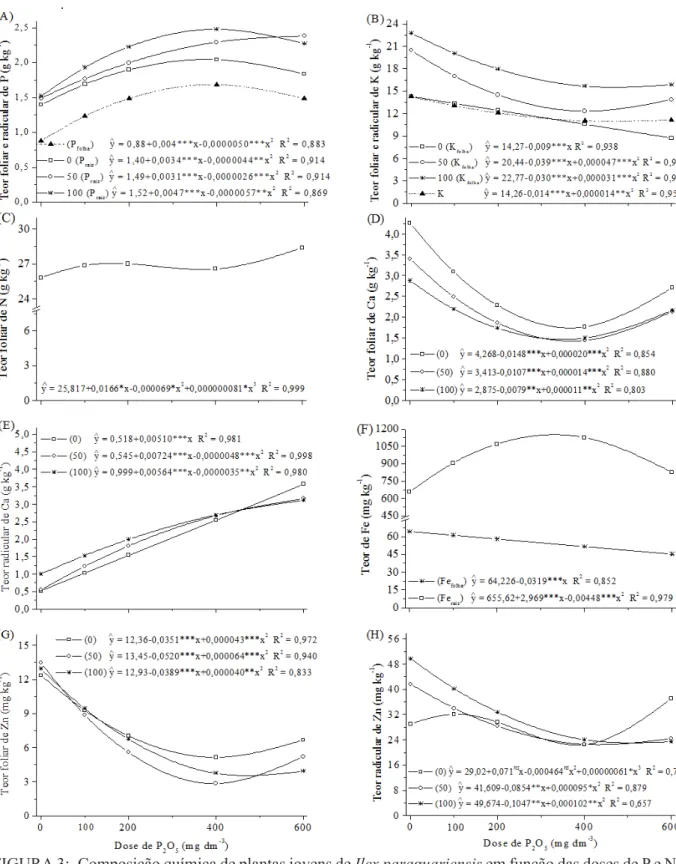 FIGURA 3:  Composição química de plantas jovens de Ilex paraguariensis em função das doses de P e NK