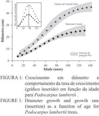 FIGURA 1:  Crescimento em diâmetro e  comportamento da taxa de crescimento  (gráfico inserido) em função da idade  para Podocarpus lambertii .