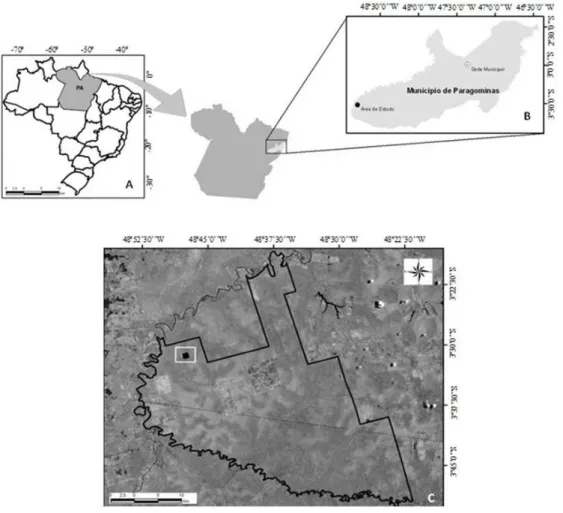 FIGURA 1:  Localização da área de estudo. A – Brasil, em destaque o Estado do Pará; B – Município de  Paragominas; C – Fazenda Rio Capim, em destaque a área de estudo.