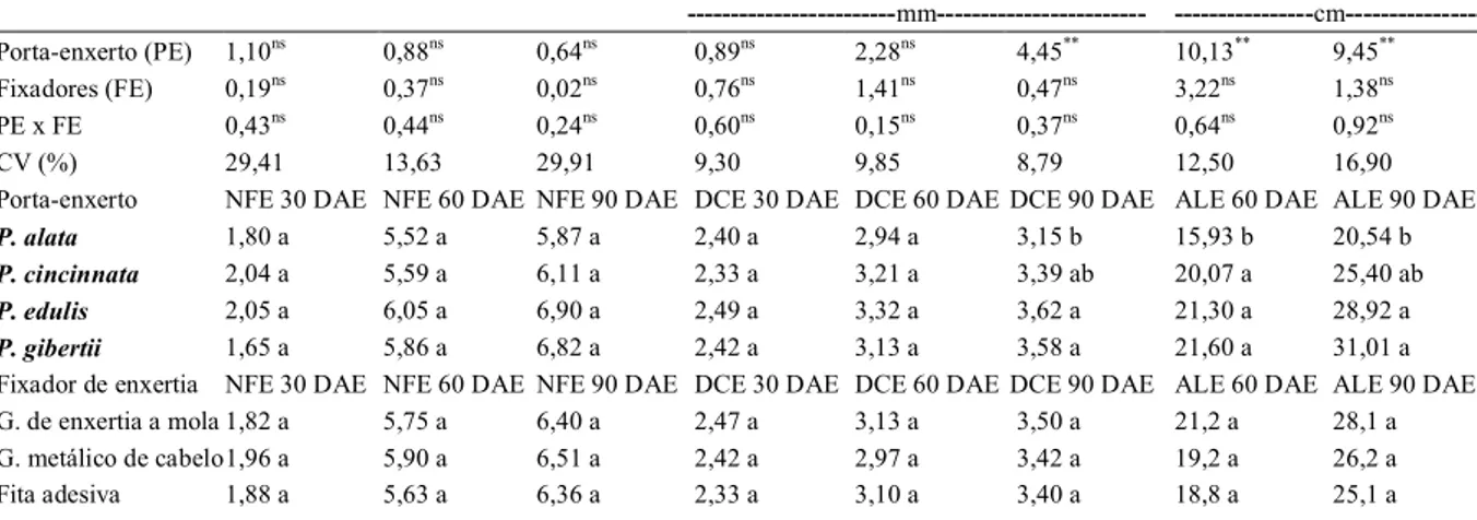 Tabela 2  -  Análise de  variância  e  médias de  variáveis  de  crescimento  de  maracujazeiro-azedo,  submetido  à  enxertia  hipocotiledonar  em quatro porta-enxertos de passifloras silvestres, utilizando-se três fixadores de enxerto, 30, 60 e 90 dias a