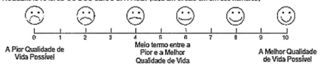 Figure 2 Questionnaire Portuguese-language SN-5.