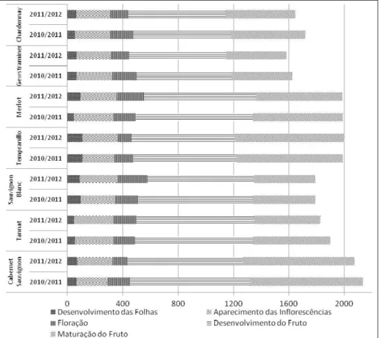 Figura 2 - Acúmulo térmico (graus-dia) durante cada fase fenológica das cultivares de Vitis vinifera, cultivadas  na região da Campanha para as safras 2010/2011 e 2011/2012.