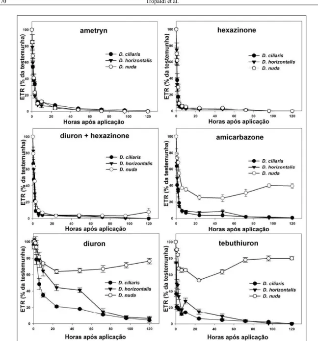 Figura 1 - Médias dos valores da ETR em porcentagem da testemunha de folhas das espécies de Digitaria ciliaris, D