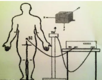 Figure 1 Location of electromagnetic sensors. Tx, transmit- transmit-ter and three-plane representation
