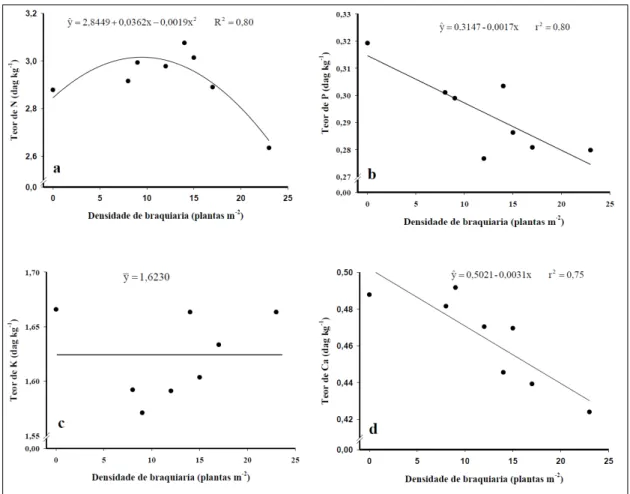 Figura 2 - Teores de nitrogênio (N) (a), fósforo (P) (b), potássio (K) (c) e cálcio (Ca) (d) em plantas de milho, cultivadas no  espaçamento de 0,50m e população de 60000 plantas ha -1 , em consórcio com Urochloa brizantha, em diferentes 