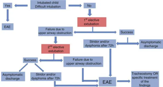 Figure 1 Flowchart indicating preoperative endoscopic airway evaluation (EAE) in the intubated child.