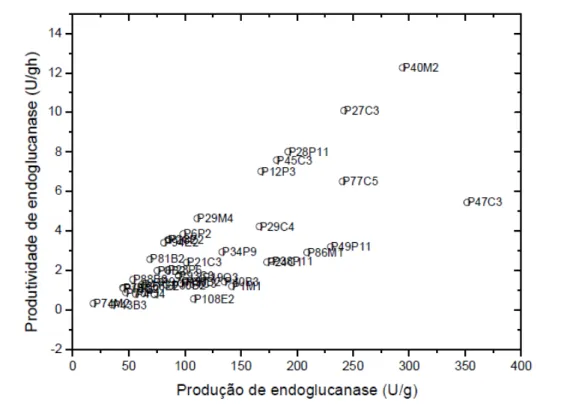 Figura 1 - Valores máximos de produtividade versus produção de endoglucanase dos 40 fungos isolados da região  Amazônica e cultivados em FES durante um total de 10 dias.