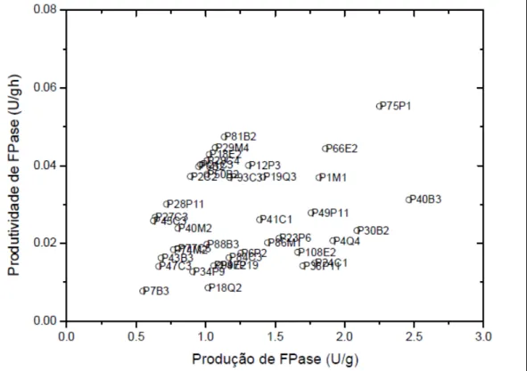 Figura 3 -  Valores máximos de produtividade versus produção de FPase dos 40 fungos isolados da região Amazônica  e cultivados em FES durante um total de 10 dias.