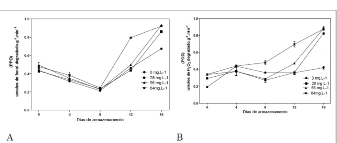 Figura 3 - Atividades das enzimas polifenoloxidase (PPO) em (A) e peroxidase (POD) em (B) de alface ‘Lucy Brown’ minimamente  processada, submetida a diferentes doses de silício, na solução nutritiva em hidroponia, e armazenadas a 3ºC, por 16 dias