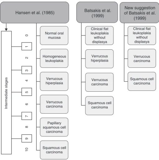 Figure 2 Histologic stages of progression to carcinoma. Adapted from Ghazali et al. (2003)