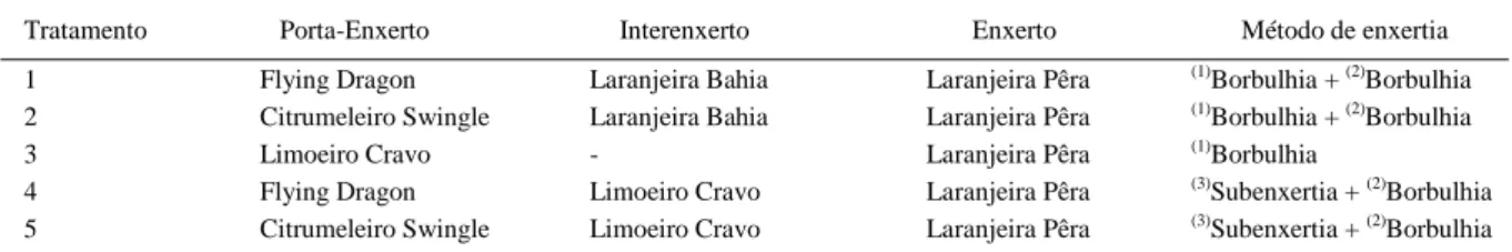 Tabela 1 - Tratamentos propostos para formação de mudas de laranjeira Pera com interenxerto de Limoeiro Cravo (LC) ou de laranjeira Bahia.