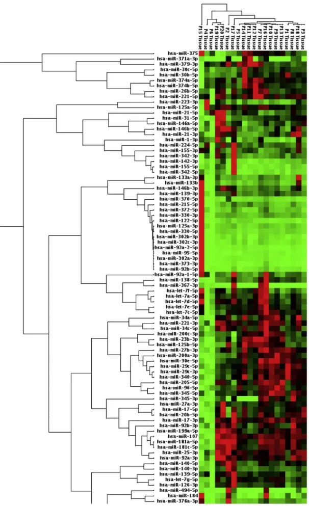 Figure 3 Heat map diagram of patients’ microRNA expression profiles in tissue samples was presented