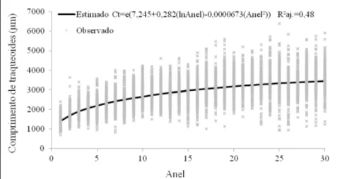 Figura 1 - Variação do comprimento de traqueoides em Pinus elliottii  em função do anel no  sentido medula-casca