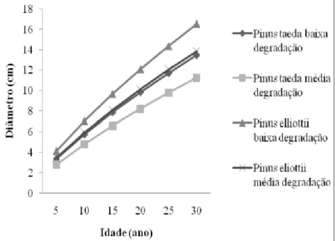 Figura 1 - Comparação do crescimento em diâmetro do Pinus elliottii versus Pinus taeda em solos  arenizados, com médio e baixo nível de degradação, na Fronteira Oeste do Rio Grande  do Sul.