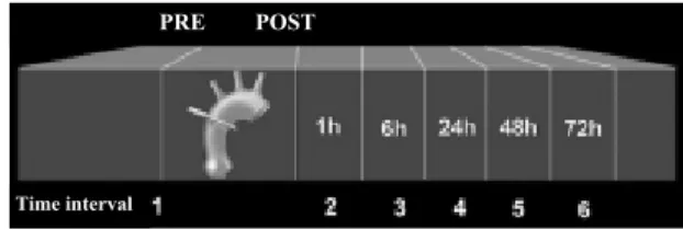 Fig. 2 – Scheme of the time intervals of collection of samples.