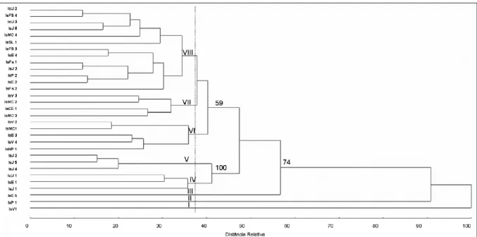 Figura  1- Análise  de  agrupamento  (dendrograma)  de  isolados  de  M.  musicola  coletados  no  Norte  de  Minas  Gerais,  por  meio  do Método  da  Ligação  Média  entre  Grupo  (UPGMA)