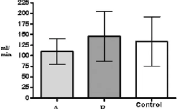 Fig.  5 – Total blood flow (mL/min) distributed to the revascularized branches in each technique