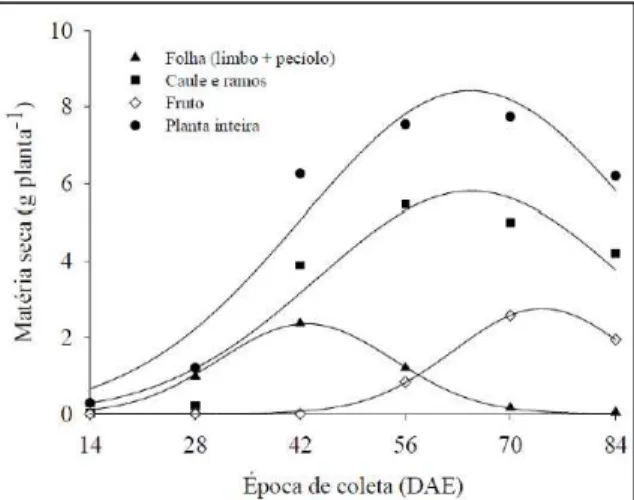 Figura 1 - Produção de matéria seca da parte aérea das plantas de  crambe em função dos dias após a emergência.