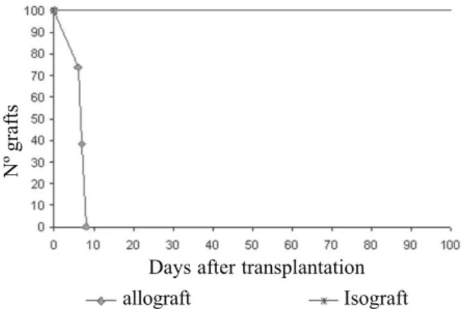 Fig. 3 – Graft showing cardiac graft survival: 22 isotransplantations and 24 allotransplantations