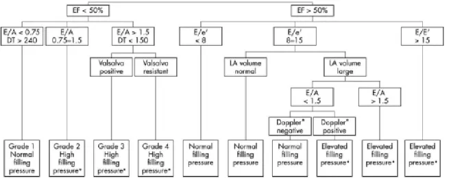 Fig. 1- systematized evaluation of the diastolic function and filling pressures. Variables obtained from the bidimensional image and the Doppler echocardiography are utilized to immediately classify the diastolic function