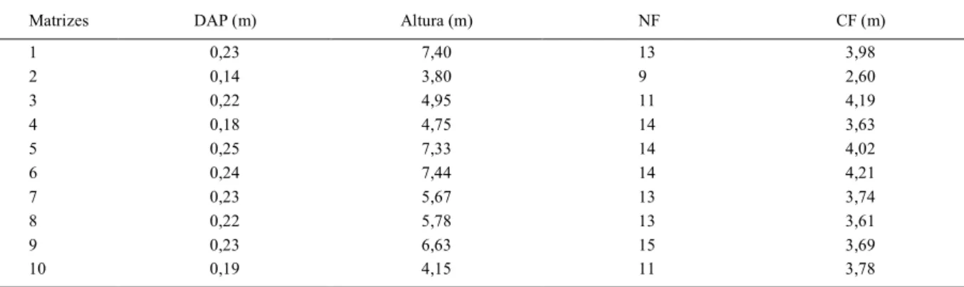Tabela 1 - Diâmetro à altura do peito (DAP), altura da planta, número de folhas (NF) e comprimento das folhas (CF) de plântulas oriundas de sementes de 10 matrizes de A