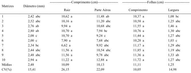 Tabela 4 - Diâmetro do colo, comprimento de plântulas e dimensões de folhas de plântulas oriundas de sementes de 10 matrizes de A